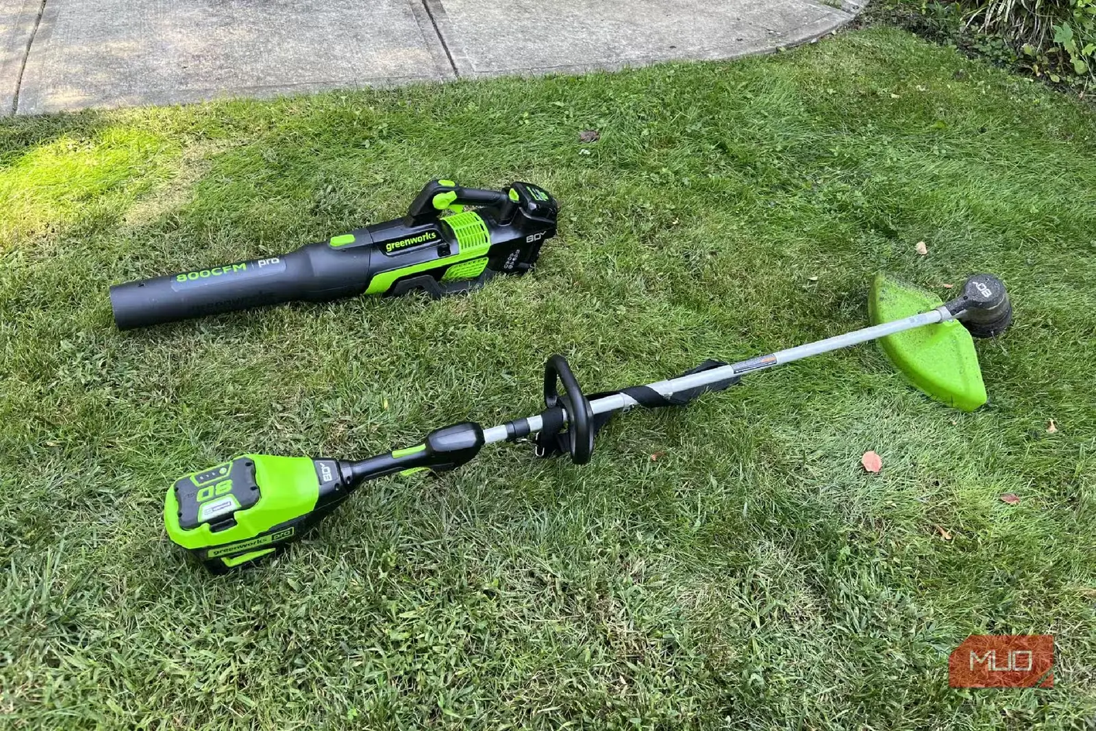 علفزن نخدار و برگدم Greenworks روی چمنها