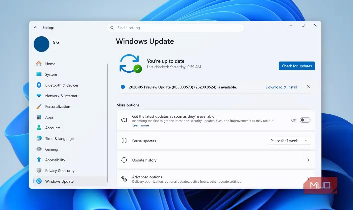 زبانهٔ دریافت بهروزرسانی در Windows Update