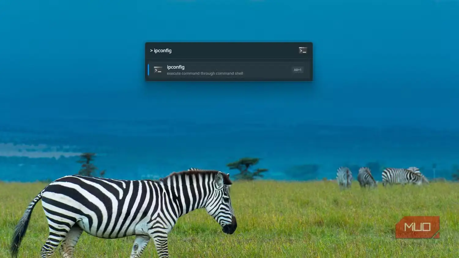 آمادهبودن Flow Launcher برای اجرای ipconfig از راه افزونه Shell.