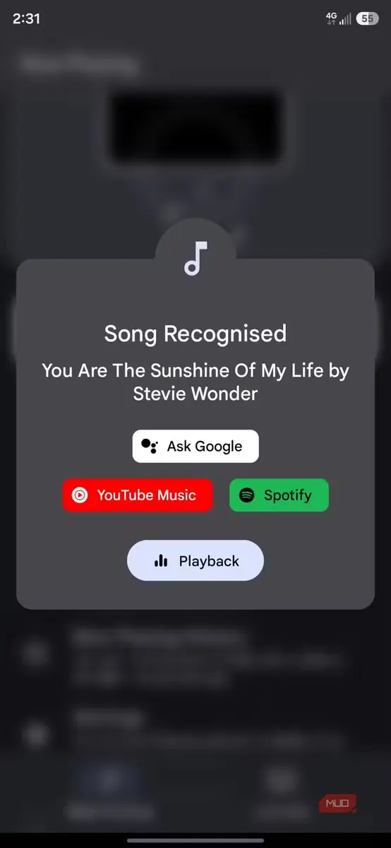 گزینههای مربوط به آهنگ شناساییشده در Ambient Music Mod