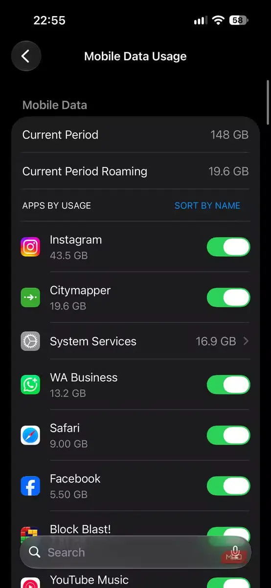 نمای مصرف دادهٔ تلفن همراه در یک iPhone