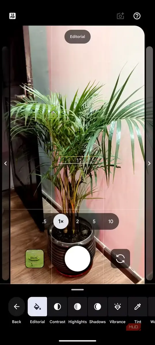 فیلتر تحریریهای نماهای Pixel 11