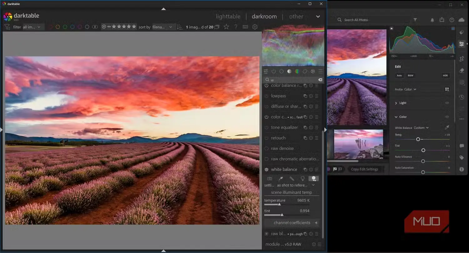 مقایسه درونریزی فایلهای DNG در Darktable و Lightroom و بازتولید نادقیق تراز سفیدی