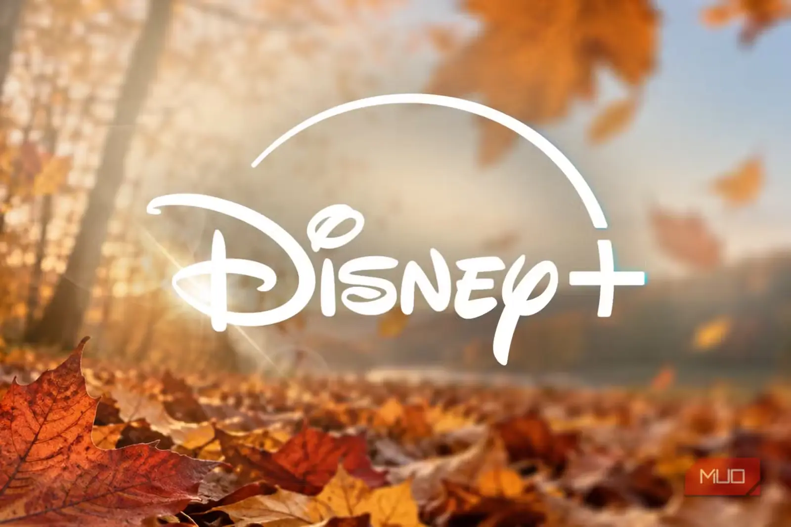 نشان Disney+ بر فراز برگهای پاییزی در نور گرم آفتاب