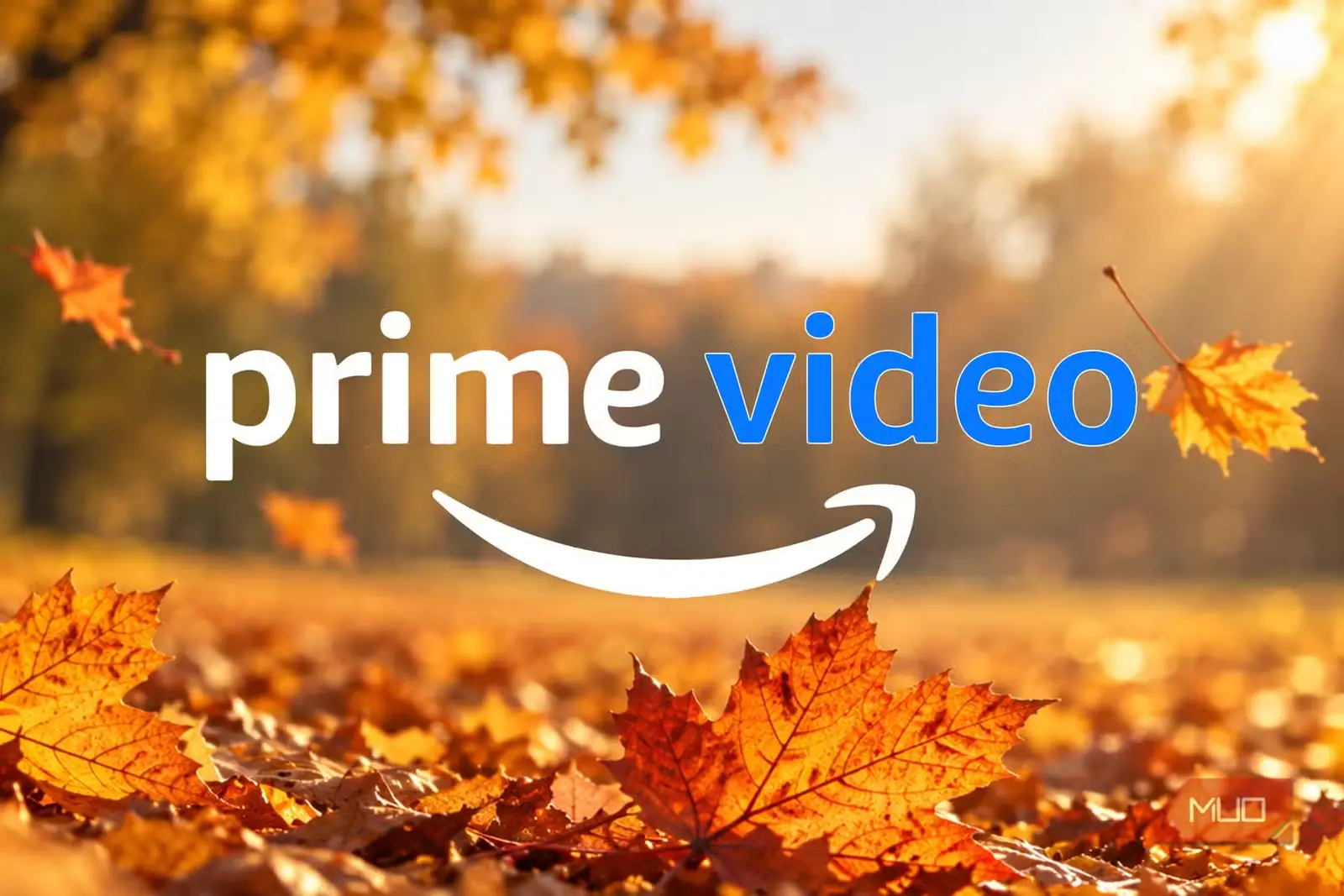 نشان Prime Video در میان برگهای پاییزی و نور گرم آفتاب