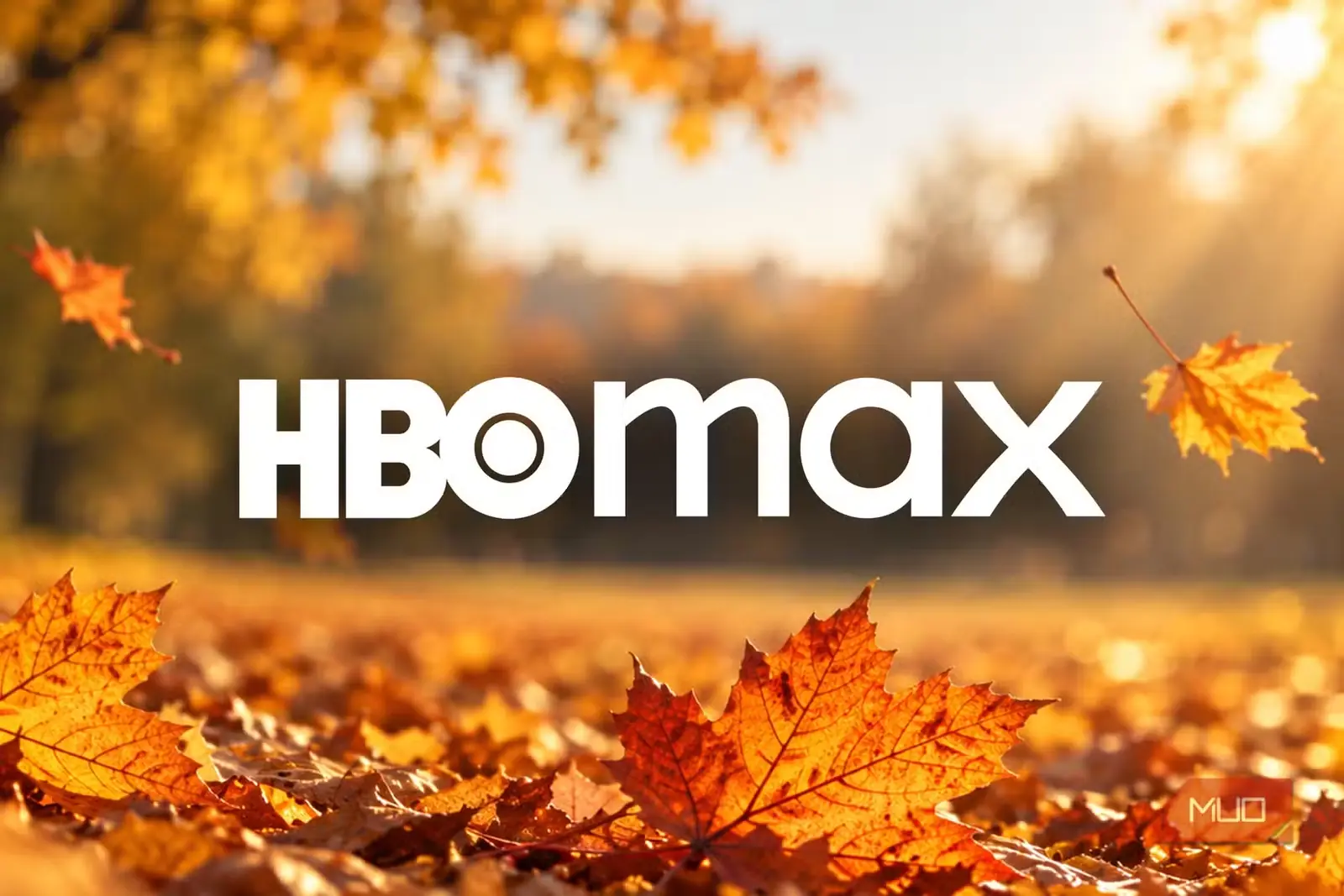 نشان HBO Max در میان برگهای پاییزی و نور گرم آفتاب