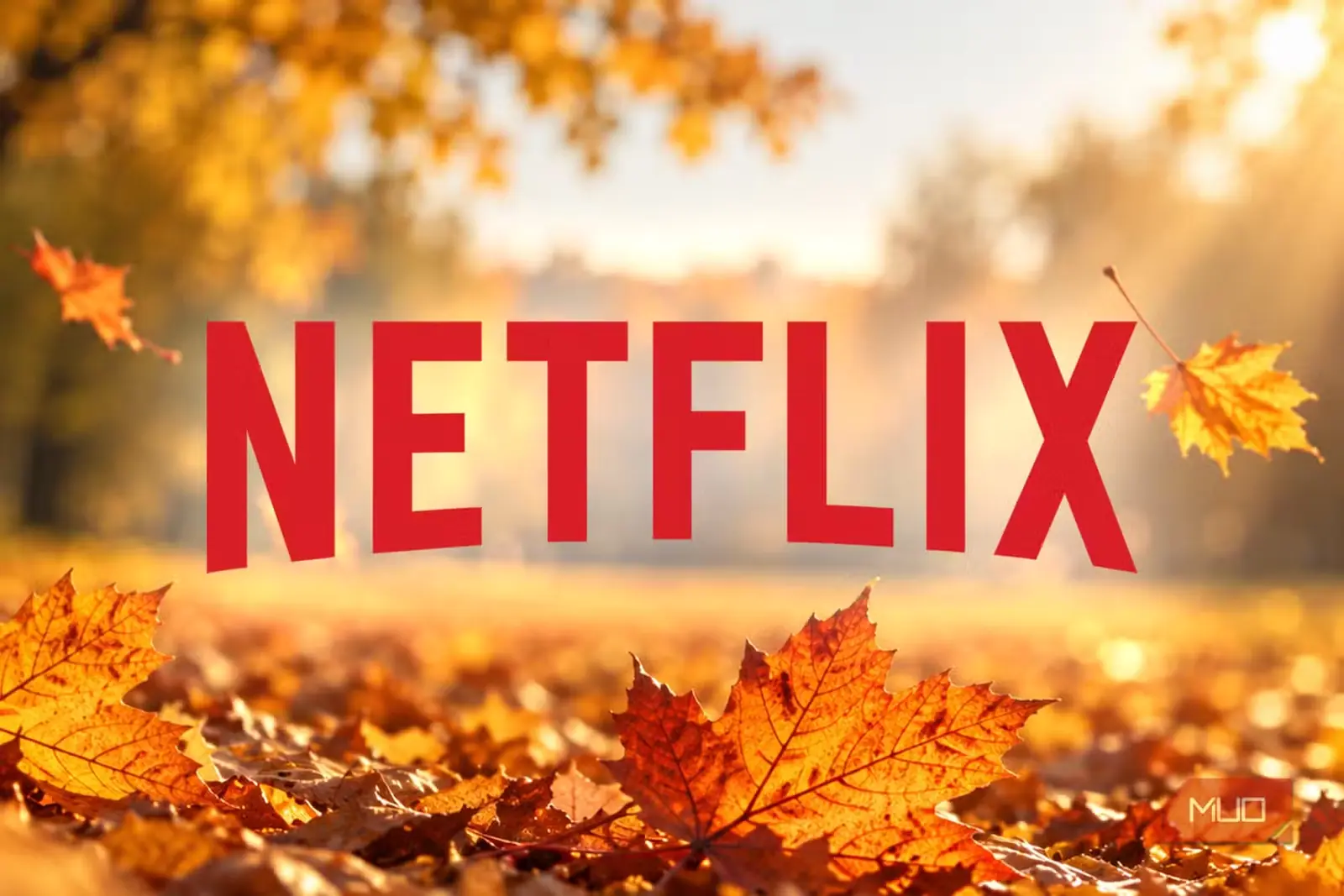 نشان Netflix در میان برگهای پاییزی و نور گرم آفتاب