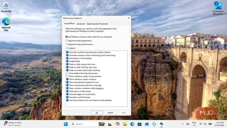 پنجرهٔ گزینههای عملکرد Windows 11 و انتخابهای جلوههای بصری پیش از تنظیمات بیشتر